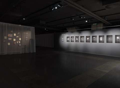 Razstava alumnov Od blizu Začasni naslov, Galerija Jakopič, 2025