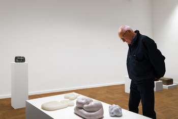 Guided tour of the "Stone" exhibition with Jiři Bezlaj
