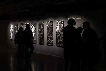 Javno vodstvo po razstavi alumnov Od blizu Začasni naslov