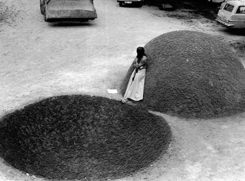 Teresa Murak, Kip za Zemljo, Ubbeboda, Sweden, 1974