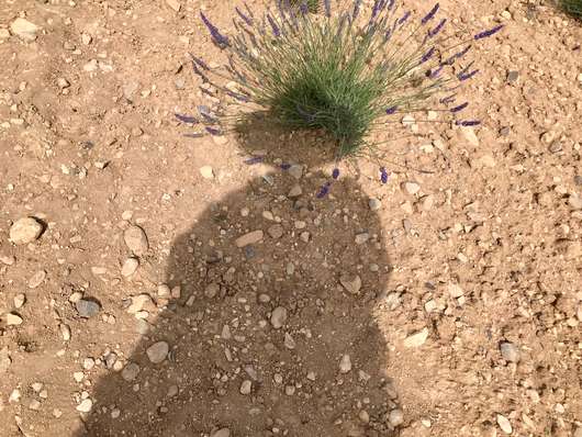 Guided tour of the Up Close Alumni Exhibition Temporary Address