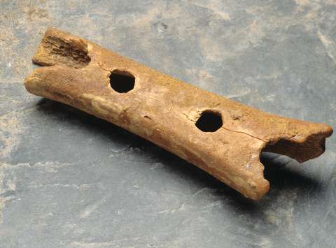 Neanderthal flute, the oldest musical instrument in the world