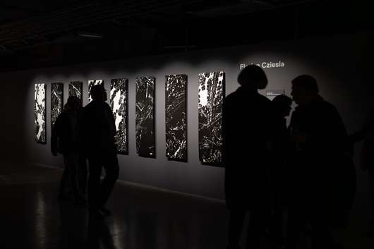 Javno vodstvo po razstavi alumnov Od blizu Začasni naslov