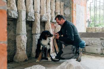 Pasji detektivi: Iskanje Emončevega zaklada