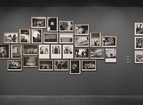 Razstava Paolo Pellegrin: Antologija, Galerija Jakopič, 2025