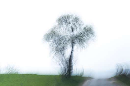 Guided tour of the Up Close Alumni Exhibition Temporary Address