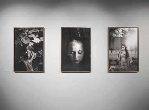 Razstava Paolo Pellegrin: Antologija, Galerija Jakopič, 2025