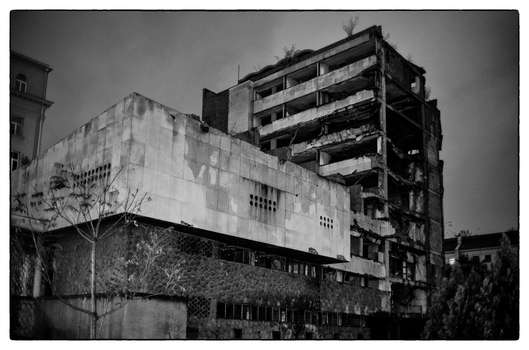 Guided tour of the Up Close Alumni Exhibition Temporary Address