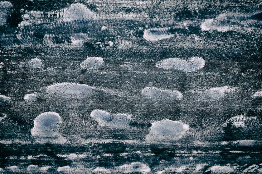 Odprtje razstave alumnov Od blizu Začasni naslov