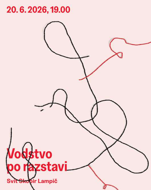 SUMMER MUSEUM NIGHT: Guided tour of the exhibition