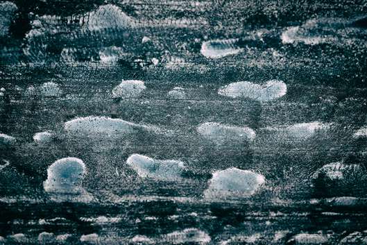 Javno vodstvo po razstavi alumnov Od blizu Začasni naslov