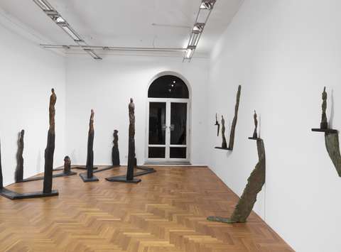 Dragica Čadež, Zgodba o lesu in glini, Mestna galerija Ljubljana, 2020