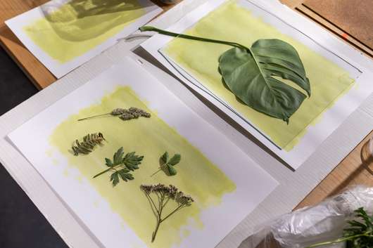 Cianotipija: Spomladanska vikend fotografska delavnica za odrasle