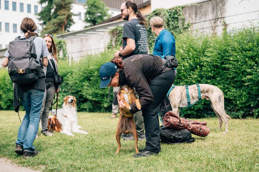 Pasji detektivi: Iskanje Emončevega zaklada