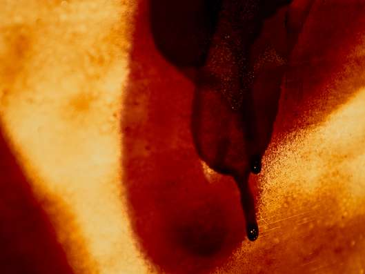 LUV fest: Od blizu z ljubeznijo