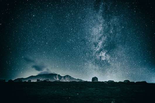 Javno vodstvo po razstavi alumnov Od blizu Začasni naslov