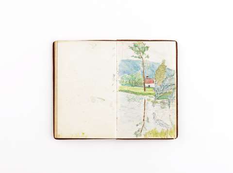 Oton Župančič: Drevo in njegov odsev v vodi, 1933/34, risba s svinčnikom in akvarel