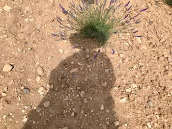 Javno vodstvo po razstavi alumnov Od blizu Začasni naslov