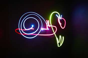 Družinska delavnica Svetloris