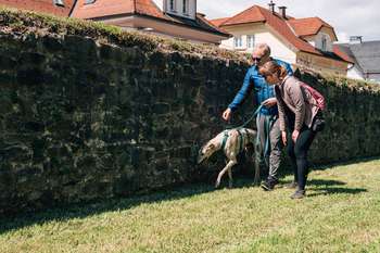 Pasji detektivi: Iskanje Emončevega zaklada