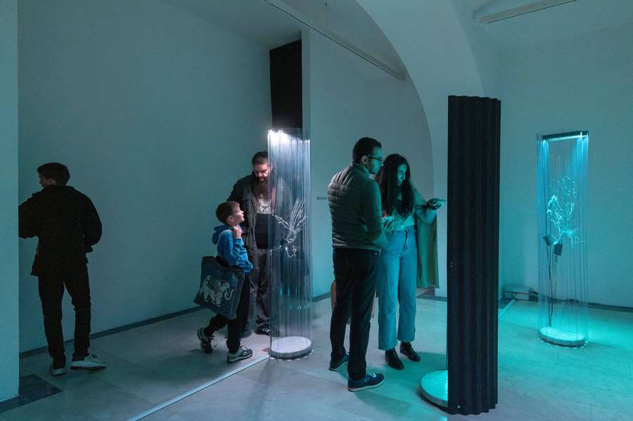 Svetlobna gverila: Raznolikosti