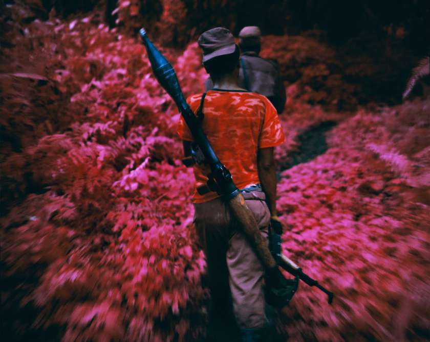 Kongovska borca sredi gozda, posneta z infrardečim fotografskim filmom