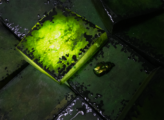 Vodstvo s kolesom po Svetlobni gverili