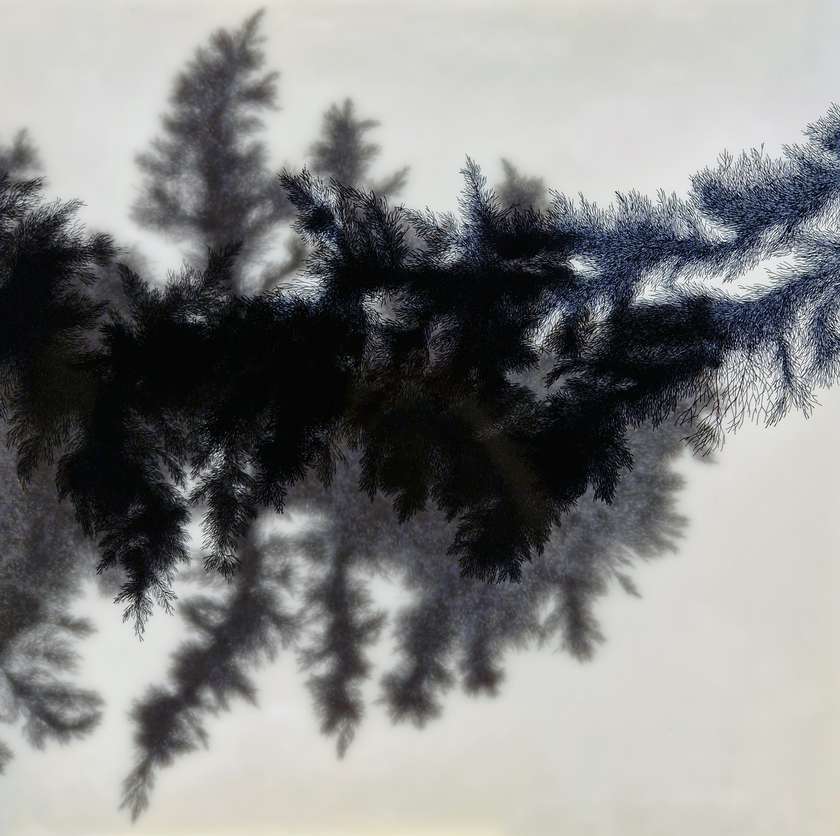 Tina Konec, Mangani, 2023, tuš na foliji,  led osvetlitev, 57x57 cm