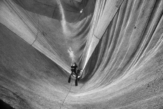 Guided tour of the Ripples exhibition by NOOR Images