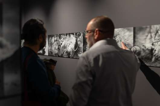 Javno vodstvo po razstavi alumnov Od blizu Začasni naslov