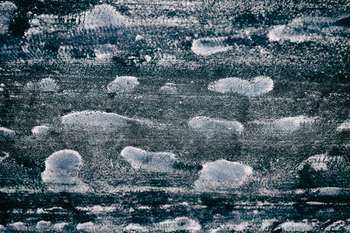 Odprtje razstave alumnov Od blizu Začasni naslov