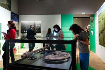 Guided tours of the Ljubljana. City. History. exhibition
