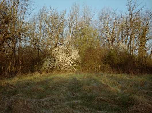 Javno vodstvo po razstavi alumnov Od blizu Začasni naslov