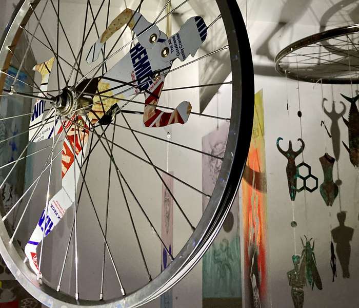 Svetlobna gverila: Raznolikosti