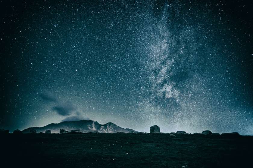 Guided tour of the Up Close Alumni Exhibition Temporary Address