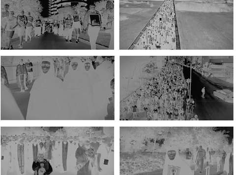 Vesele ribe imajo boljši okus kot žalostne, 2024