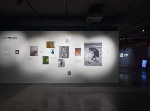 Razstava alumnov Od blizu Začasni naslov, Galerija Jakopič, 2025