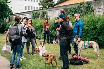 Pasji detektivi: Iskanje Emončevega zaklada