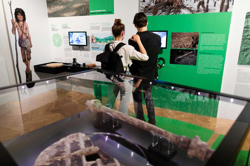 [VSA MESTA ZASEDENA] Od mostiščarjev h koliščarjem: Vodstvo po razstavi Ljubljana. Zgodovina. Mesto.