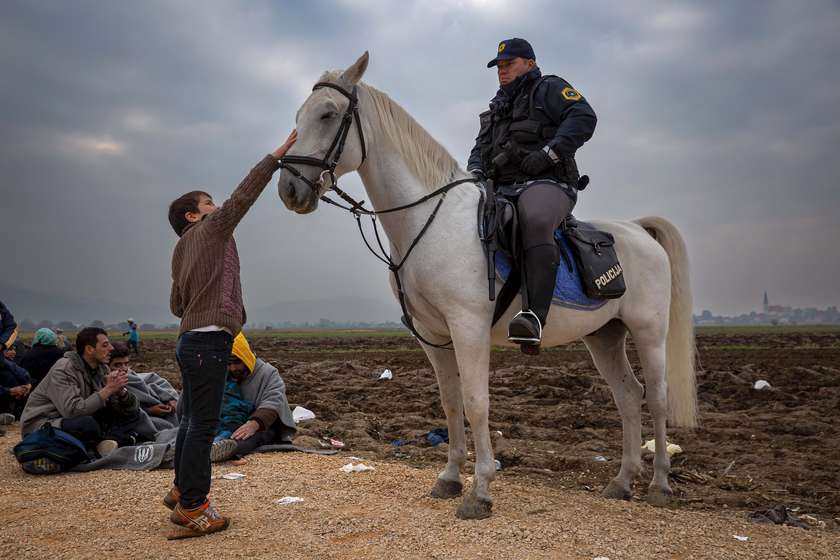 Boy and horse, green border, Rigonce, October 27, 2015.