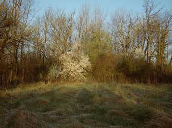 Guided tour of the Up Close Alumni Exhibition Temporary Address