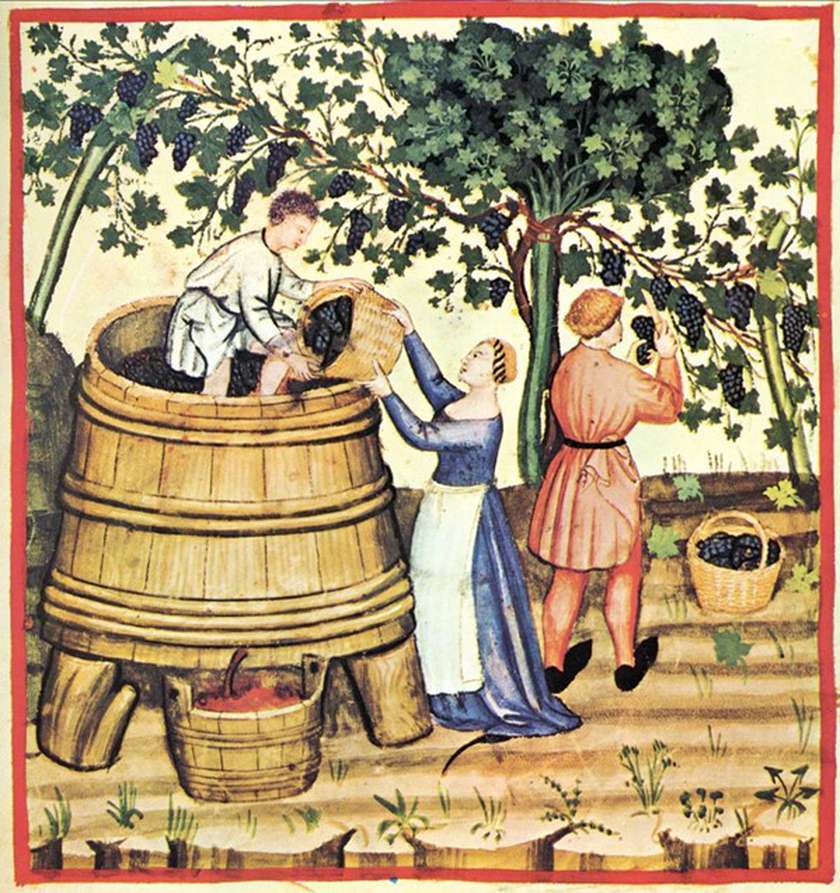 Tacuina sanitatis (14. stoletje)