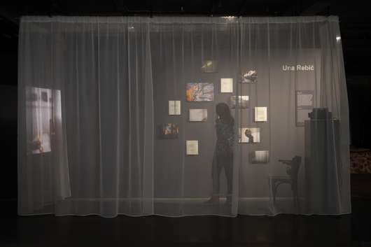 Javno vodstvo po razstavi alumnov Od blizu Začasni naslov