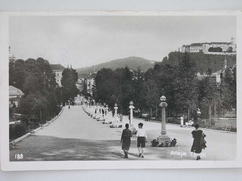Promenada v Tivoliju, odpiranje pogleda proti Ljubljanskemu gradu, po l. 1933