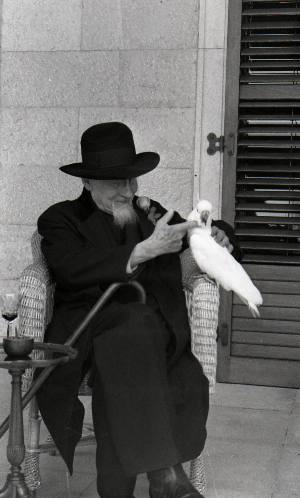 Plečnik s papagajem Kokijem, Brioni, 1956